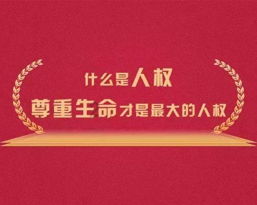 全民剧本大师内置菜单